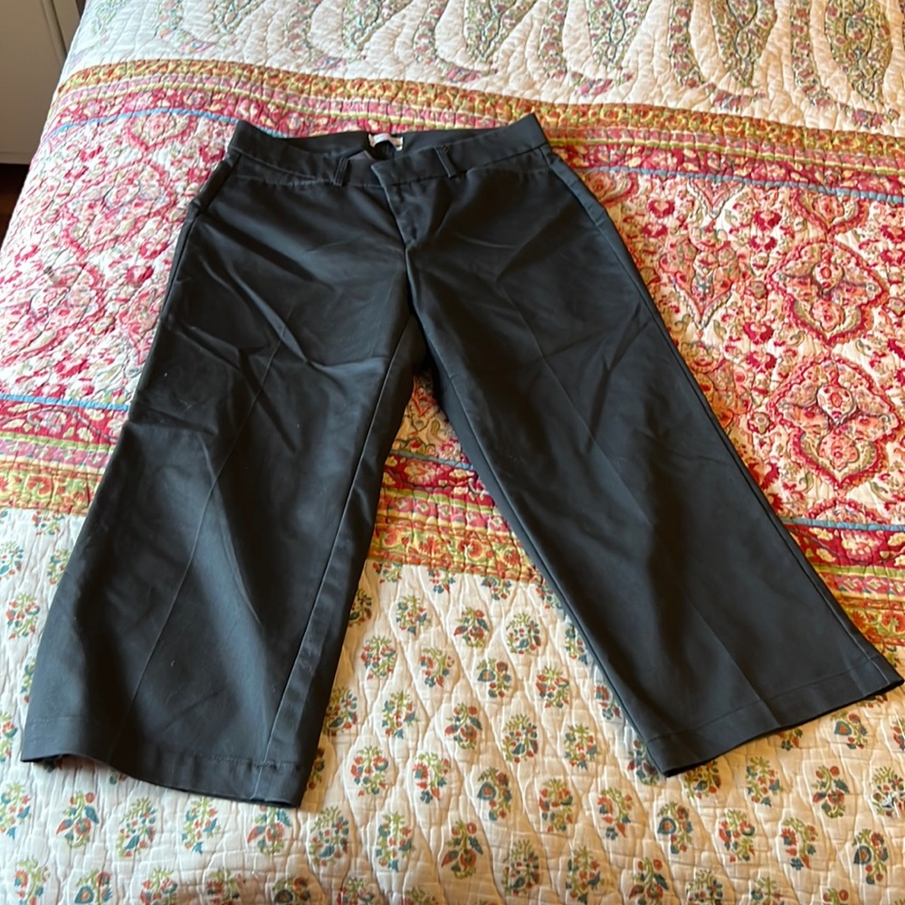 Stretchy capris